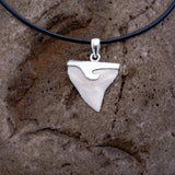 buy real shark tooth necklace florida