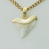 gold plated shark tooth necklace