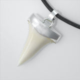 great white shark tooth necklace