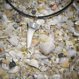 Mako shark tooth pendant on genuine leather cord, on the beach background