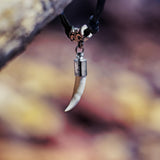 Real crocodile tooth necklace in stainless steel hanging against tree bark