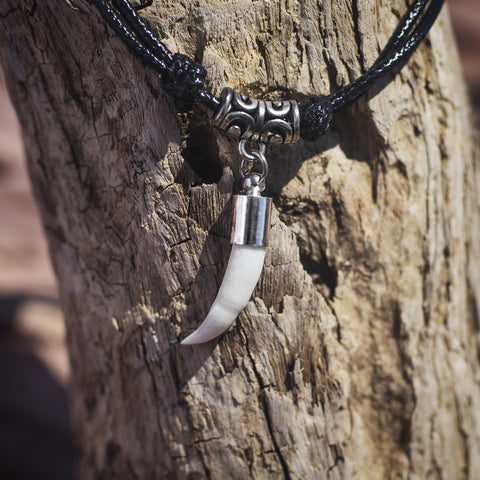 Real crocodile tooth necklace in carved stainless steel on cord
