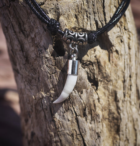 Real crocodile tooth necklace in carved stainless steel on cord