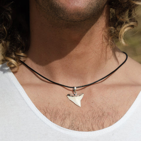 real shark tooth necklace