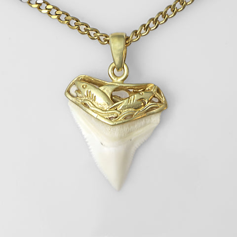 shark tooth necklace gold plated