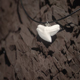 shark tooth pendant australia