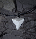 shark tooth pendant silver