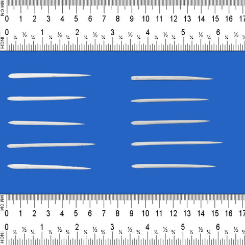 stingray barbs set for sale