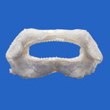 Genuine Tawny Nurse Shark jaw, front view, 12 × 11 cm