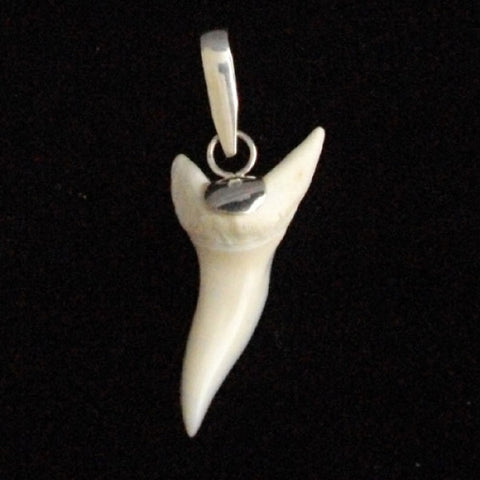 Mako shark tooth silversmith artisan pic45