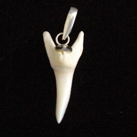 Mako shark tooth necklace for sale by Oceanicshark Au pic48