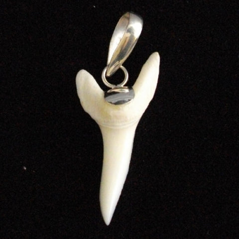 Mako shark teeth silver pendant fathers day gift Australia pic33