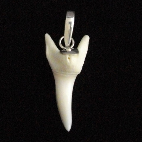 shark tooth pendants wholesale