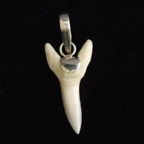 Mako shark tooth silver pendant leather cord pic65