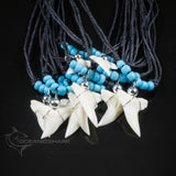 Ethically Sourced Shark Tooth Necklace on Adjustable Cotton Cord with Turquoise Beads