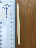 Large Stingray barb single quality specimen taxidermy SB-1