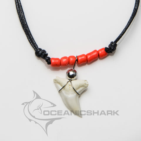 shark tooth necklace near me