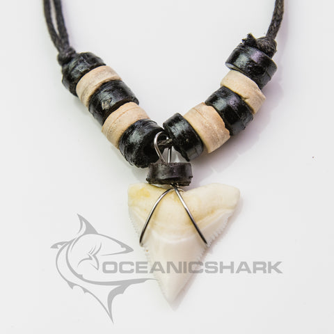 shark tooth necklace magic bull shark tooth necklace australia oceanicshark