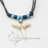Shark tooth necklace зубы акулы 鲨鱼牙 dente di squalo c122
