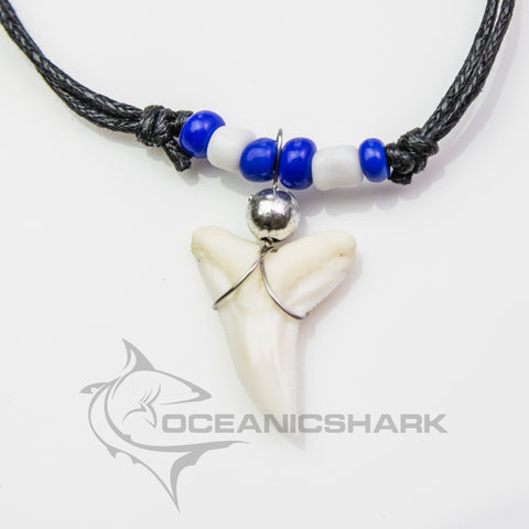 Genuine shark teeth necklace c124