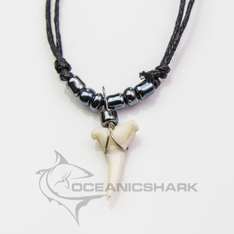 Shark tooth Haifischzahn サメの歯 dent de requin c130