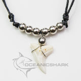 real shark tooth necklace on adjustable black cord