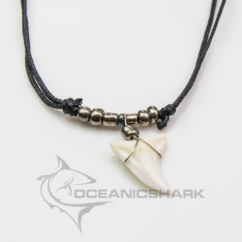 Requin  鲨鱼牙 collana con denti di squalo  c145