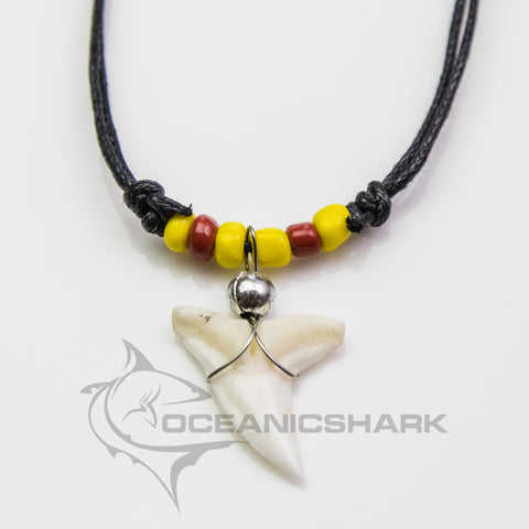 Shark tooth necklace ITALIA Roma denti di squalo  c148