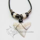 bull shark tooth necklace for sale oceanicshark
