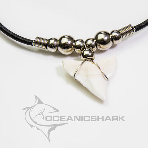 buy shark tooth necklace 