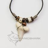 real shark tooth necklace australia