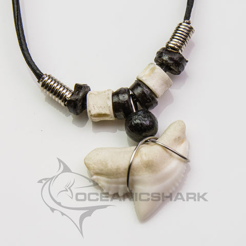 real shark tooth necklace Australia Tiger Sharks