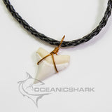 buy whitetip great white shark tooth necklace