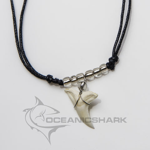 shark tooth necklace near me