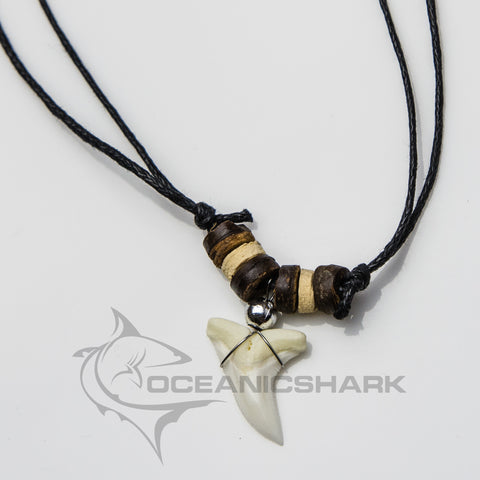Shark tooth necklace Australia