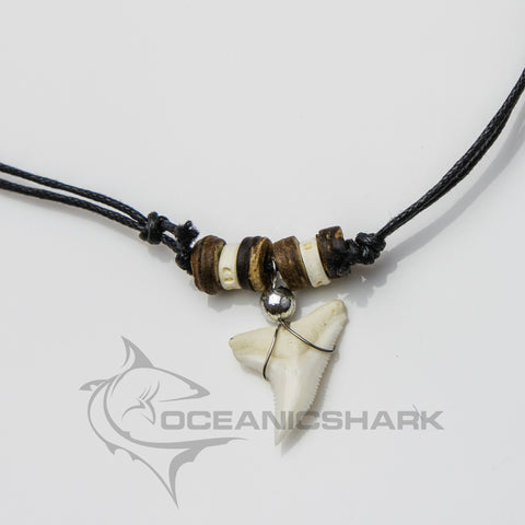 shark tooth necklace real