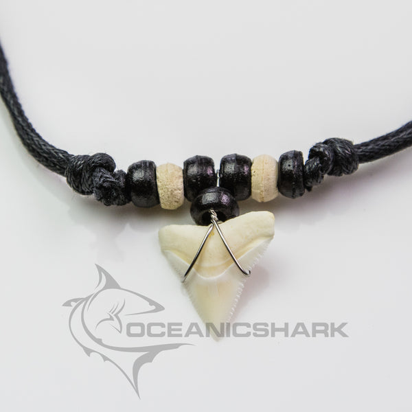 2 pc lot of Coconut bead necklaces with Megalodon shark tooth
