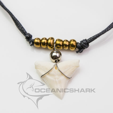 shark tooth necklace real