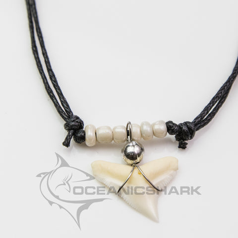 Bull shark tooth necklace creamy pearl c73