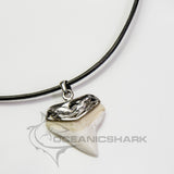 shark tooth silver pendant carved