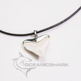 real shark tooth necklace in silver on black leather cord
