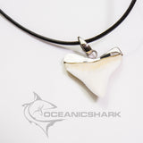 large bull shark tooth necklace for sale oceanicshark