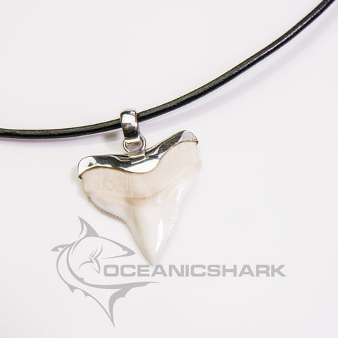 Large Bull shark pendant on real leather black cord