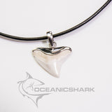real Bull shark tooth necklace silver leather cord