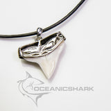 shark tooth necklace choker great white shark for sale
