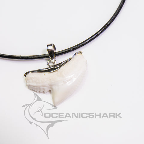 shark tooth necklace online shop