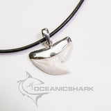 Real tiger shark tooth silver pendant on black leather cord