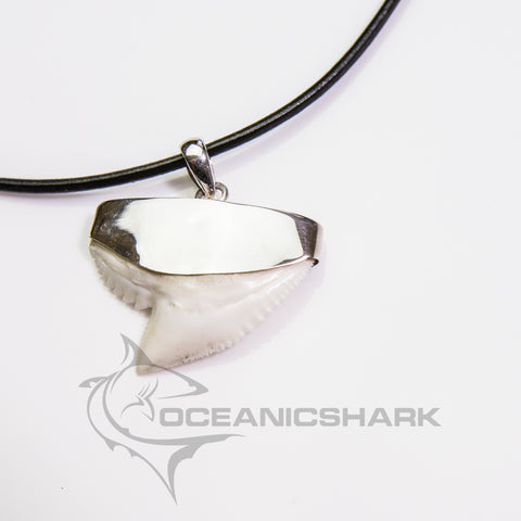 Tiger shark tooth necklace