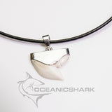 tiger shark tooth necklace 