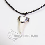 shark present shark souvenir shop shark tooth pendant silver on leather cord